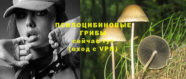 MDMA Елизово