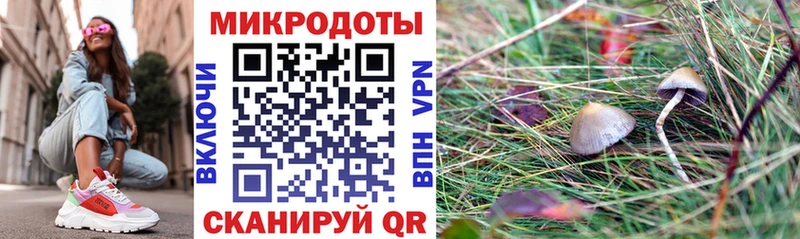кракен онион  Октябрьский  Галлюциногенные грибы Psilocybe  наркошоп 